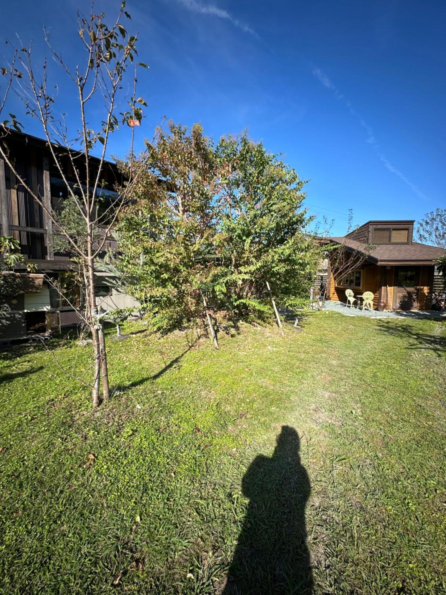 ジビエと田舎暮らしの宿 ヌックスキッチン Japanese Game Meat Cuisine & Lodge Nook'S Kitchen Kami  Exterior foto
